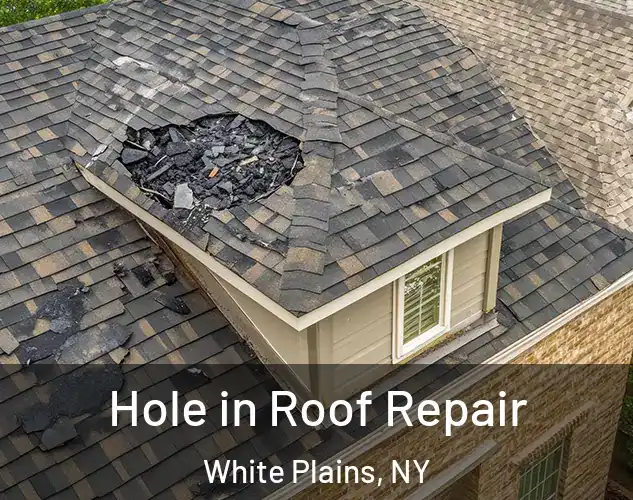  Hole in Roof Repair White Plains, NY