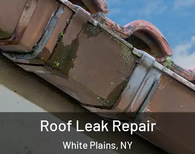  Roof Leak Repair White Plains, NY