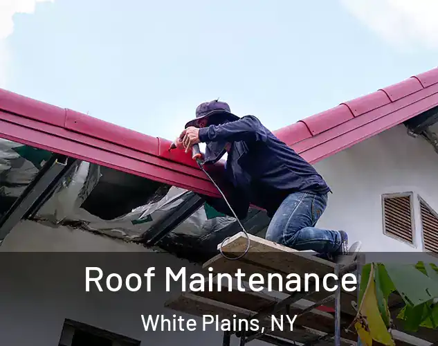  Roof Maintenance White Plains, NY